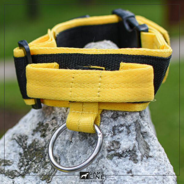 Collar Deportivo GL - Image 3
