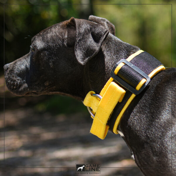 Collar Deportivo GL - Image 2
