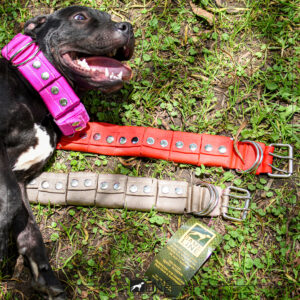 Collar de Peso