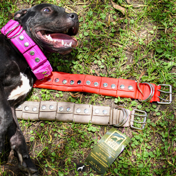 Collar de Peso
