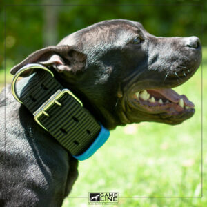 Collar de Reata GL